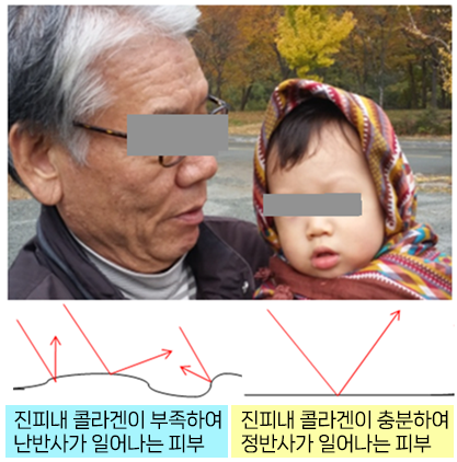 물 표면의 정반사와 난반사 비교 - 잔잔한 수면과 물결진 수면